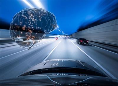 هنگام رانندگی چه اتفاقاتی در مغز افراد رخ می‌دهد؟
